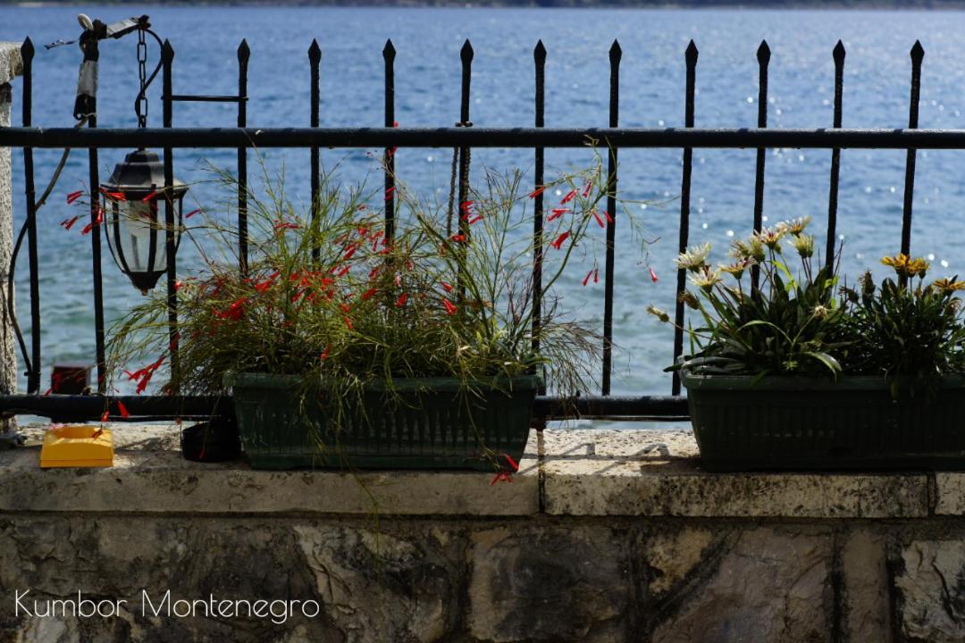 Apartments Batricevic Herceg Novi Eksteriør billede