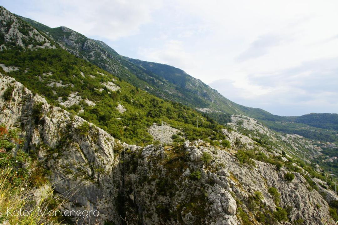 Apartments Batricevic Herceg Novi Eksteriør billede